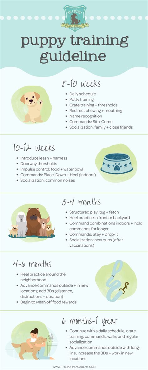 How To Make Use Of Health Insurance For Pets Puppy Obedience Training How To Make Use Of Health Insurance For Pets Puppy Obedience Training