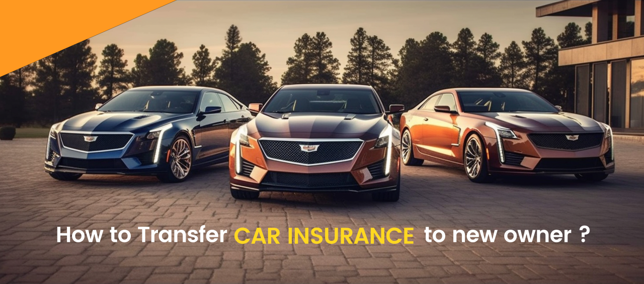 How To Transfer Car Insurance To New Owner Driveeuae How To Transfer Car Insurance To New Owner Driveeuae