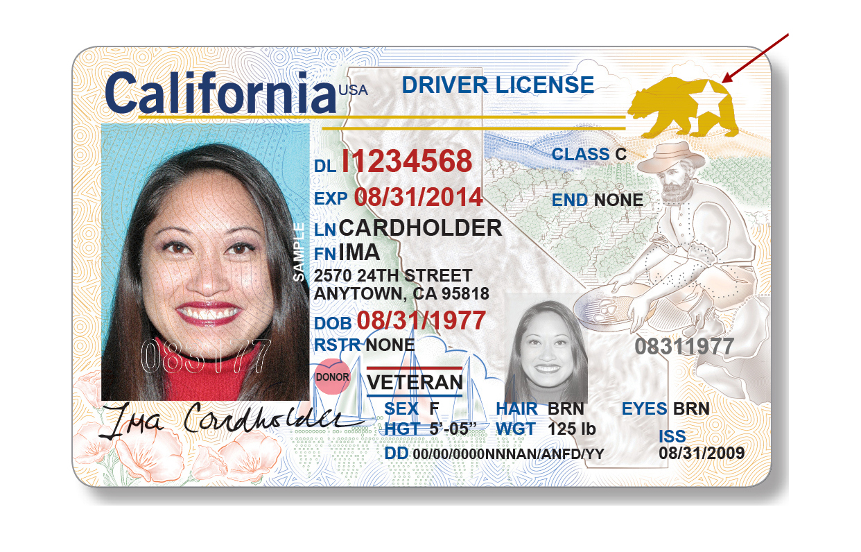 Id Card Format Png Id Card Format Png