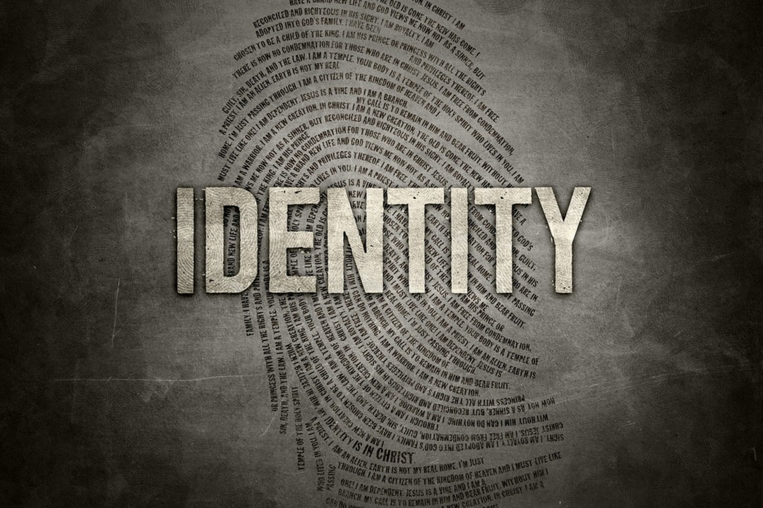 Identity Thief Insurance