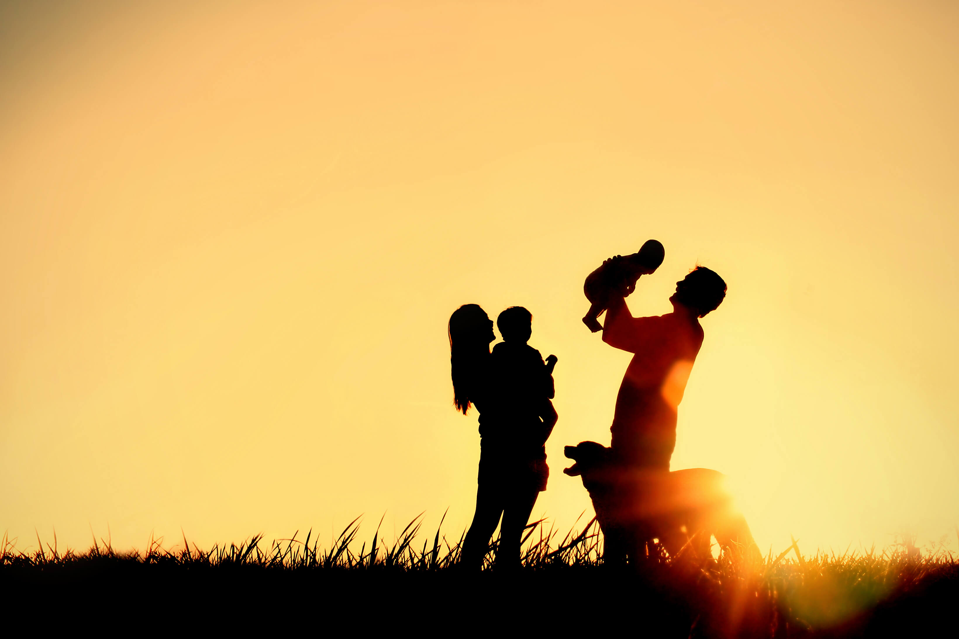Individual Life Insurance