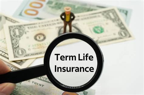 Insurance And Leisure Term Life Insurance A Guide To Coverage Insurance And Leisure Term Life Insurance A Guide To Coverage