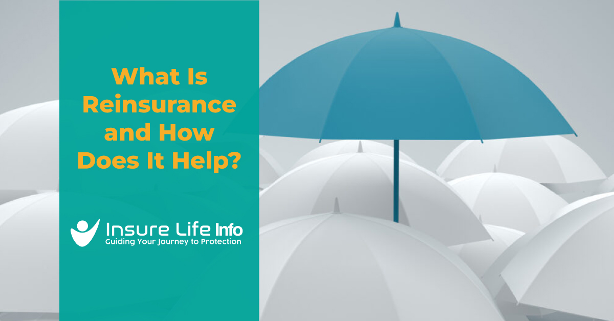 Insure Life Info Guiding Your Journey To Protection Insure Life Info Guiding Your Journey To Protection