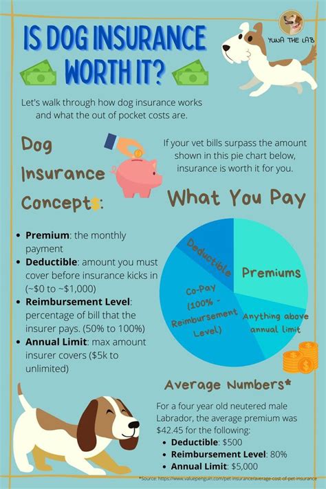 Is Dog Insurance Worth It Basics Dog Insurance Dog Care Tips Dog Is Dog Insurance Worth It Basics Dog Insurance Dog Care Tips Dog