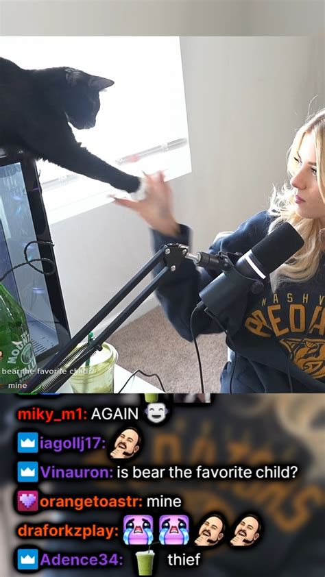 Kat Kattpaccinoclips Instagram Photos And Videos Kat Kattpaccinoclips Instagram Photos And Videos