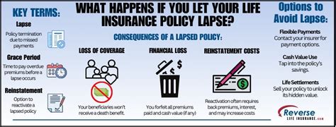 Lapse Meaning In Insurance Understanding Its Definition Lapse Meaning In Insurance Understanding Its Definition