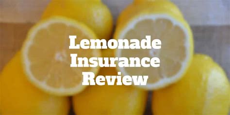 Lemonade Insurance Review Renters Home Insurance From 5