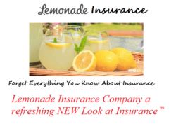 Lemonade Insurance Shop Solutions Lila S Finds Lemonade Insurance Shop Solutions Lila S Finds
