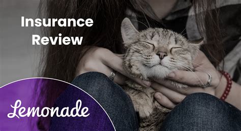 Lemonade Pet Insurance Review 2024 A Detailed Look Catster Reportwire Lemonade Pet Insurance Review 2024 A Detailed Look Catster Reportwire