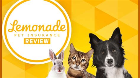 Lemonade Pet Insurance Review Prices Geshub Lemonade Pet Insurance Review Prices Geshub