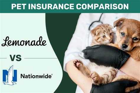 Lemonade Vs Nationwide Pet Insurance Comparison 2024 Pros Cons Lemonade Vs Nationwide Pet Insurance Comparison 2024 Pros Cons