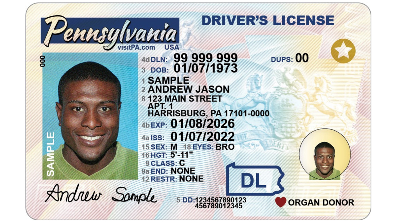 License Insurance Why It Matters When Choosing A Contractor License Insurance Why It Matters When Choosing A Contractor