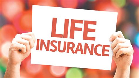 Life Insurance Companies Top 5 Life Insurance Companies Trendings Life Insurance Companies Top 5 Life Insurance Companies Trendings