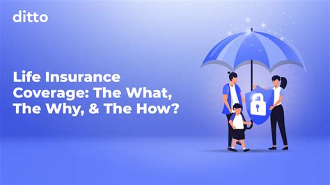 Lifetime Cover Insurance