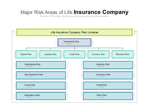 Major Risk Areas Of Life Insurance Company Presentation Powerpoint Major Risk Areas Of Life Insurance Company Presentation Powerpoint