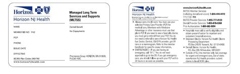Managed Long Term Services Amp Supports Mltss Orientation Horizon Nj Managed Long Term Services Amp Supports Mltss Orientation Horizon Nj
