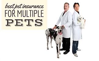 Many Pets Dog Insurance