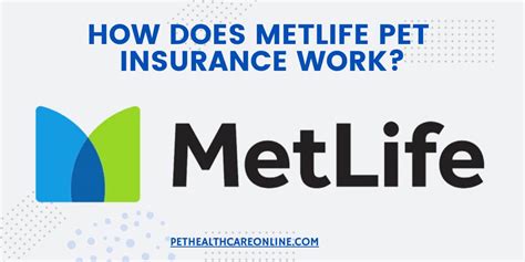 Metlife Pet Insurance How It Works What You Need To Know Metlife Pet Insurance How It Works What You Need To Know
