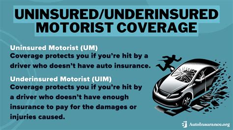 Minimum Vehicle Insurance Minimum Vehicle Insurance