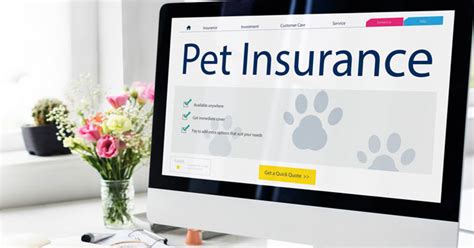 More Than Pet Insurance Review Petmoneysaver More Than Pet Insurance Review Petmoneysaver