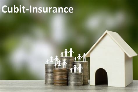 Most Reasonable Homeowners Insurance Financial Report