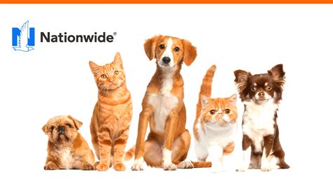 My Pet Insurance Nationwide