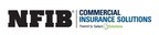 National Small Business Group Partners With Selectsolutions Insurance National Small Business Group Partners With Selectsolutions Insurance
