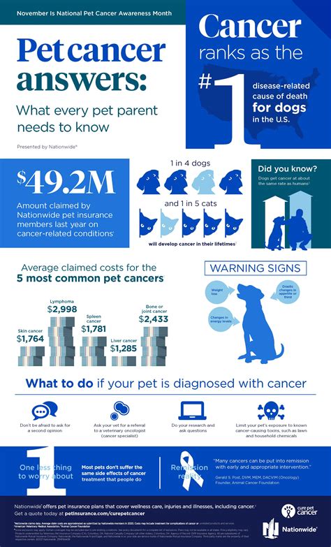 Nationwide Infographic Nationwide Infographic