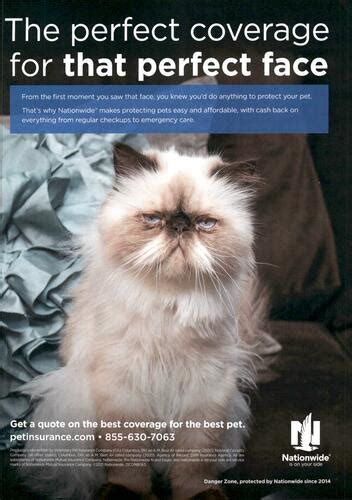 Nationwide Pet Insurance Advertising Profile See Their Ad Spend Nationwide Pet Insurance Advertising Profile See Their Ad Spend