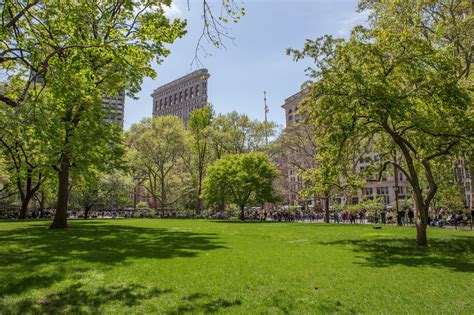 New York Life Insurance Madison Square Park Conservancy New York Life Insurance Madison Square Park Conservancy