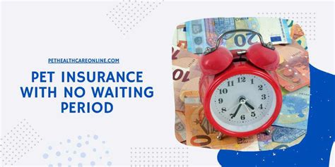 No Waiting Period Pet Insurance