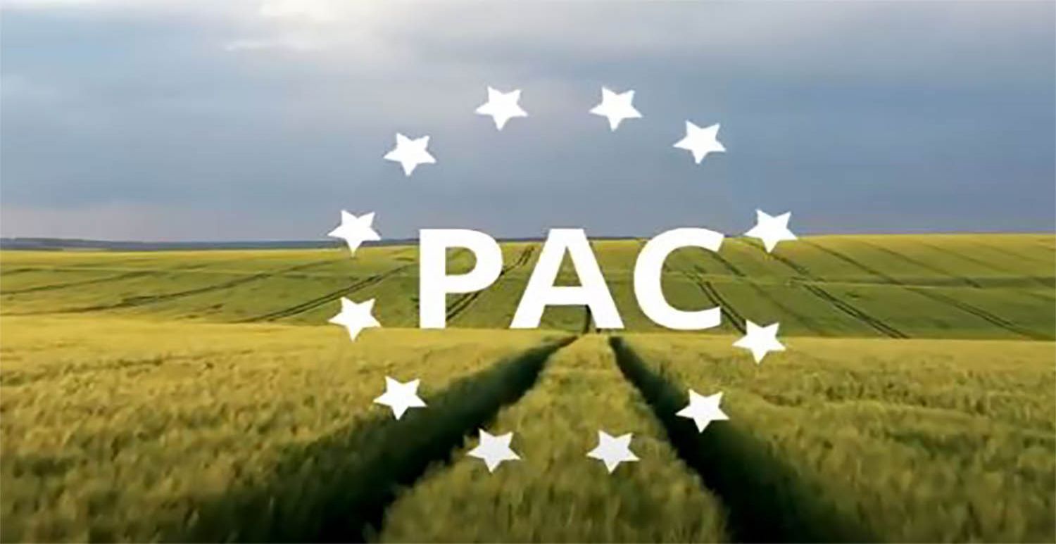 Pac Life Insurance Pac Life Insurance