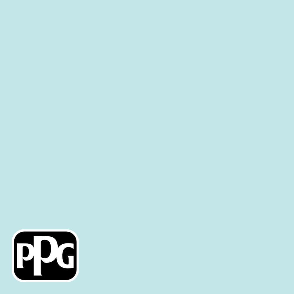 Paleseafoam Leak