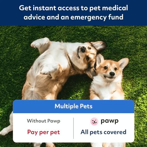 Pawp Pet Insurance Review 2022 April 2022 Reviews The Goody Pet Pawp Pet Insurance Review 2022 April 2022 Reviews The Goody Pet