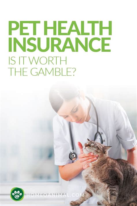 Pet Health Insurance Is It Worth The Gamble Pet Health Insurance Pet Health Insurance Is It Worth The Gamble Pet Health Insurance