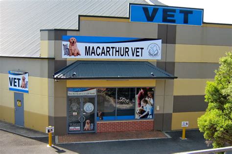 Pet Health Insurance Macarthur Vets Campbelltown And Camden Pet Health Insurance Macarthur Vets Campbelltown And Camden