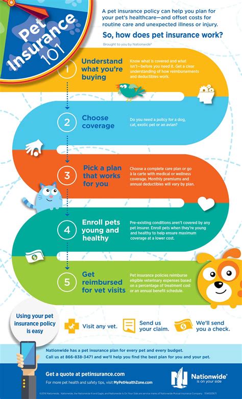 Pet Insurance 101 Infographic Pet Health Insurance Tips Pet Insurance 101 Infographic Pet Health Insurance Tips