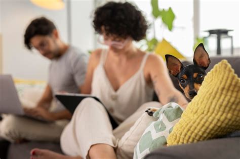 Pet Insurance And Waiting Periods What You Need To Know Pet Insurance And Waiting Periods What You Need To Know