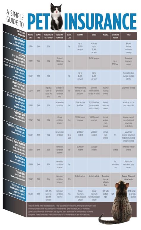 Pet Insurance Companies In The Us Hutomo Pet Insurance Companies In The Us Hutomo