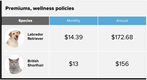 Pet Insurance Cost Alabama Cyber Insurance Panel Pet Insurance Cost Alabama Cyber Insurance Panel