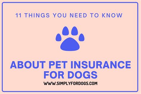Pet Insurance Detailed Information Simply For Dogs Pet Insurance Detailed Information Simply For Dogs