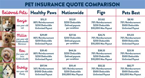 Pet Insurance For Dogs Cost Pet Insurance For Dogs Cost