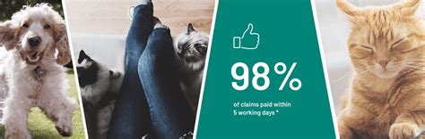 Pet Insurance Pet Insurance Quotes Argos Pet Insurance Pet Insurance Pet Insurance Quotes Argos Pet Insurance