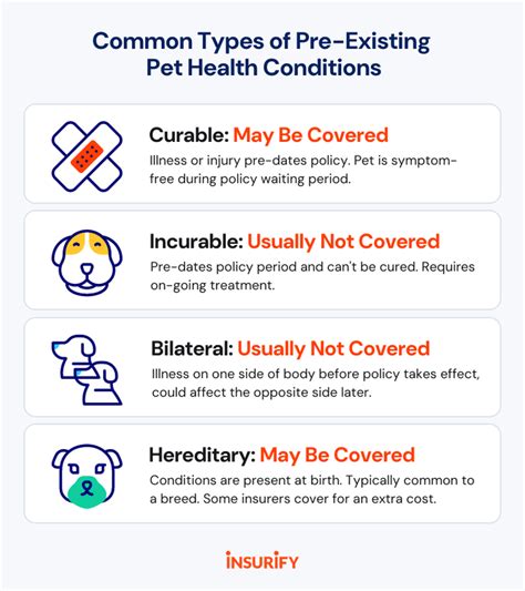 Pet Insurance Pre Existing Conditions Covered Pet Insurance Pre Existing Conditions Covered