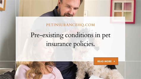 Pet Insurance Previous Conditions