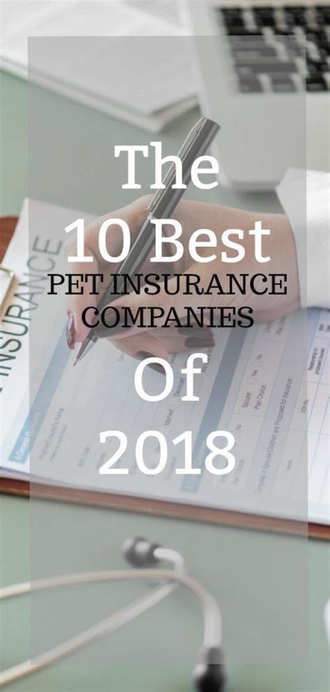 Pet Insurance Providers Which One Is Best For Your Dog My Brown Pet Insurance Providers Which One Is Best For Your Dog My Brown