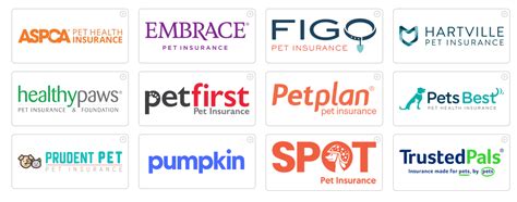 Pet Insurance Providers Pet Insurance Providers