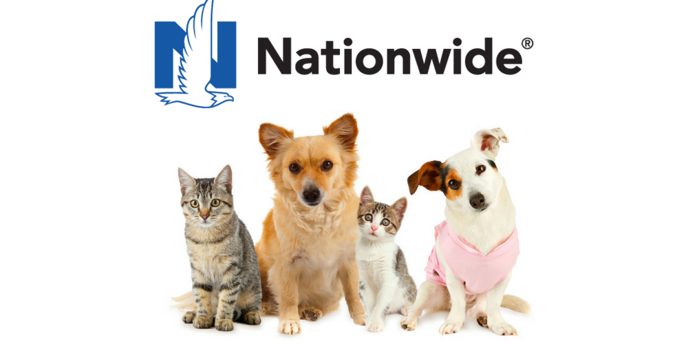Pet Insurance Quotes