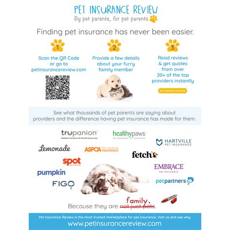 Pet Insurance Review Orders Shop Pet Insurance Review Orders Shop