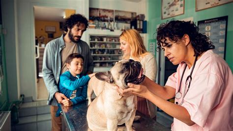 Pet Insurance That Pays The Vet Directly Forbes Advisor Pet Insurance That Pays The Vet Directly Forbes Advisor